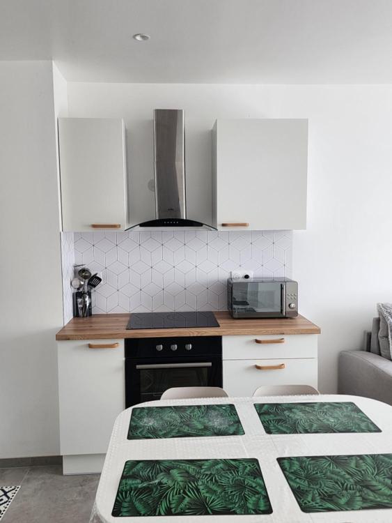 Apartment Fleur De Houblon Schiltigheim